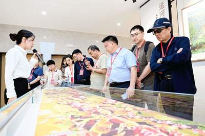 城鄉融合看嘉興 | 秀洲區油車港鎮勝豐村 農民畫+非遺，文藝為鄉村賦能的真實畫卷